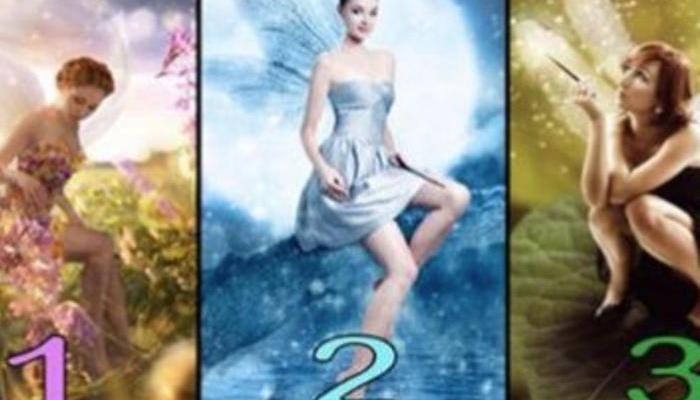 PICK A FAIRY YOU LIKE THE MOST: It reveals how other people see you
