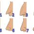 SHAPE OF YOUR NOSE REVEALS WHAT KIND OF PERSON YOU ARE: Find out who cheats and who will get rich