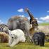 Pick an animal and find out how other people see you