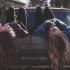 How Zodiac signs influence their environment: Aries shocks by his impetuosity, Aquarius by coming home on time....