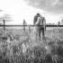 GLOOMY ASTRO PROGNOSIS: For these five signs, 2017 will be a pretty hard year
