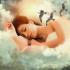 Interesting facts about dreaming and dreams 