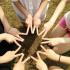 Zodiac signs and friendships: What kind of friend is who - Taurus is possessive, Scorpio is loyal....