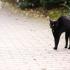 Friday the 13th is not the unluckiest day anymore