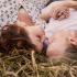 HOROSCOPE AND TICKLING: For Aquarius it's a call in the bed, and for Leo an insult