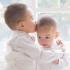 What does a child inherit from the father, and what from the mother?