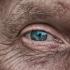 THEY ARE NOT JUST SIGN OF AGING: Wrinkles reveal your personality and health problem you've got