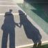 Zodiac signs and love: Are you going to meet you soulmate in 2015?