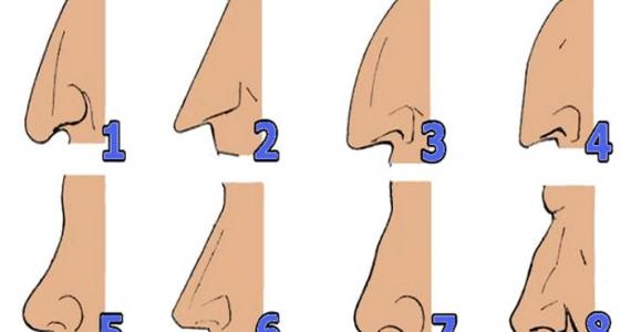 SHAPE OF YOUR NOSE REVEALS WHAT KIND OF PERSON YOU ARE: Find out who cheats and who will get rich