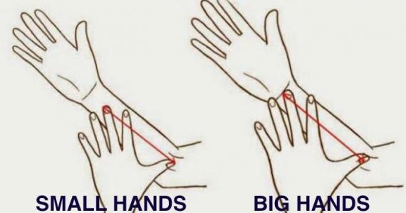 What does the length of your hands say about you? 