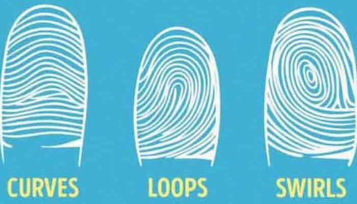 Look at your forefinger and determine what kind of a person you are: WHAT YOUR FINGERPRINTS ARE LIKE, THAT’S WHAT YOU ARE LIKE IN YOUR SOUL!
